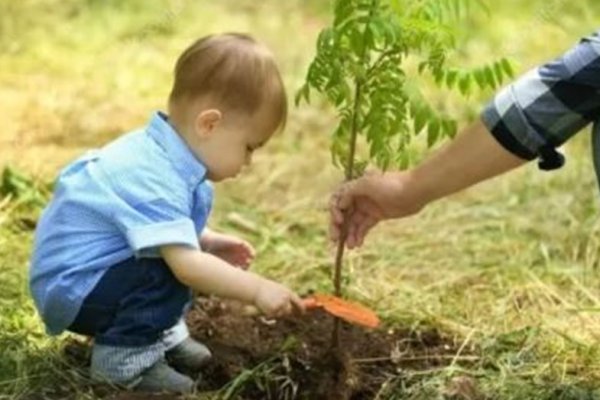 Por cada bebé que nazca en la capital del Chubut, su familia recibirá un árbol