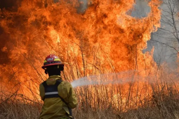 Seis provincias registran focos activos de incendios forestales