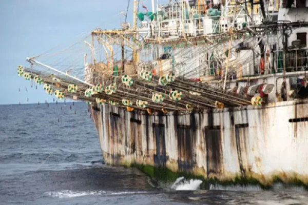 Barcos chinos pescaron ilegalmente en aguas argentinas durante más de 600 mil horas