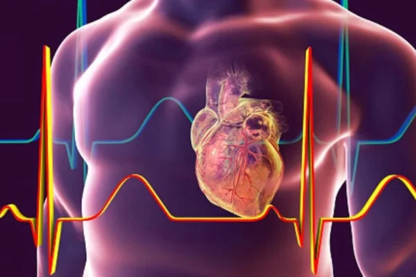 Descubrieron cómo el COVID-19 daña las células del corazón y afecta el ritmo de los latidos