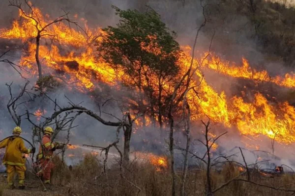 El Gobierno Nacional creó una unidad de prevención de delitos ambientales