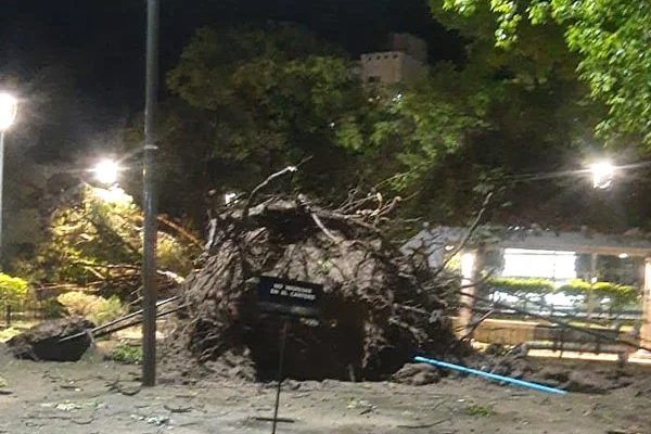 La tormenta causó serios daños en la plaza principal de la capital