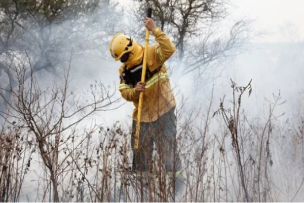 Chubut: el incendio en el Parque Nacional Los Alerces ya llegó al Lago Cholila