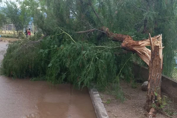 Suspendieron actividades en el Poli Menem por los daños que ocasionó la tormenta
