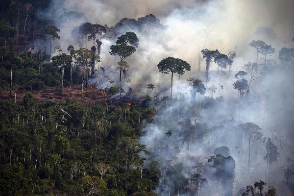 La deforestación batió un nuevo récord en la Amazonia brasileña