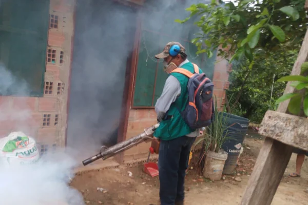 Paraguay acumula más de 24 mil casos de chikunguya