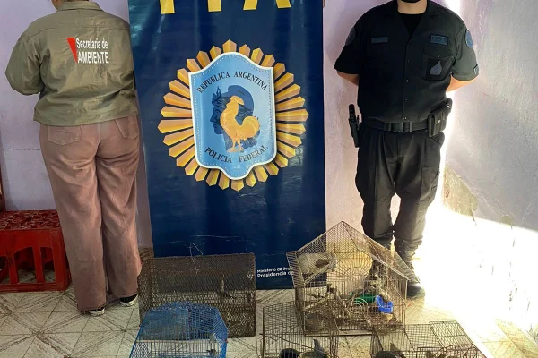 Aves, drogas y un detenido en pleno centro capitalino