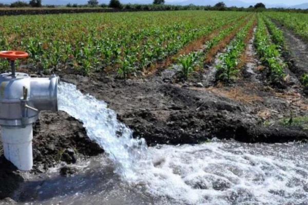 CARPA trabaja para mejorar el acceso al agua de productores