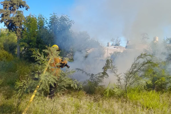 Bomberos controlaron incendio frente a la cancha de Andino