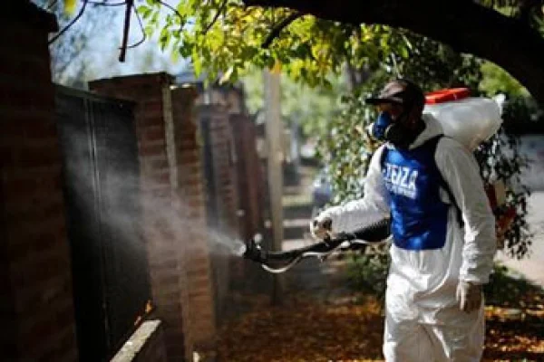 Dengue en Argentina: cuáles son las provincias del país con la tasa más alta de contagios
