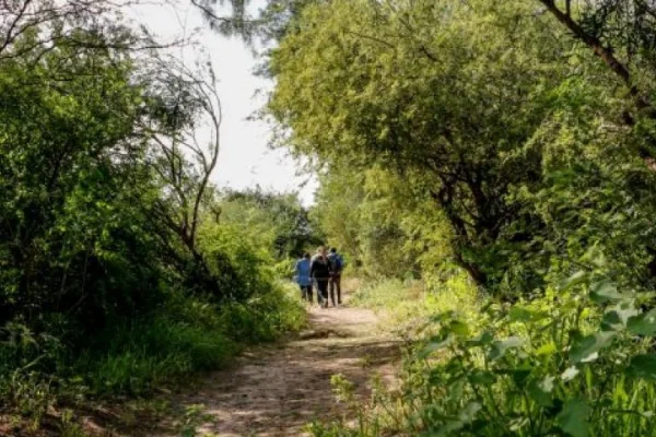 Este miércoles inician las jornadas por la Tierra “reconectar con la Naturaleza”