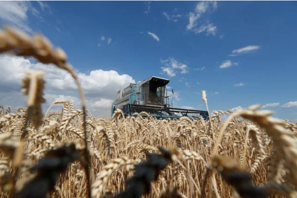 Cinco países de la Unión Europea acuerdan reanudar el tránsito de cereales de Ucrania