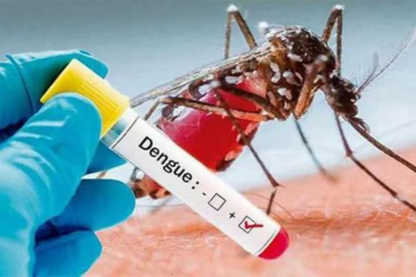 Dengue: se consolida la tendencia al descenso de casos