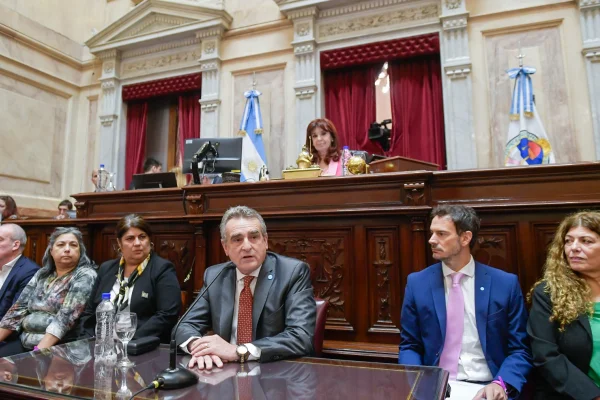 Agustín Rossi presentó el informe de gestión ante el Senado: “Reivindico la democracia que conseguimos”