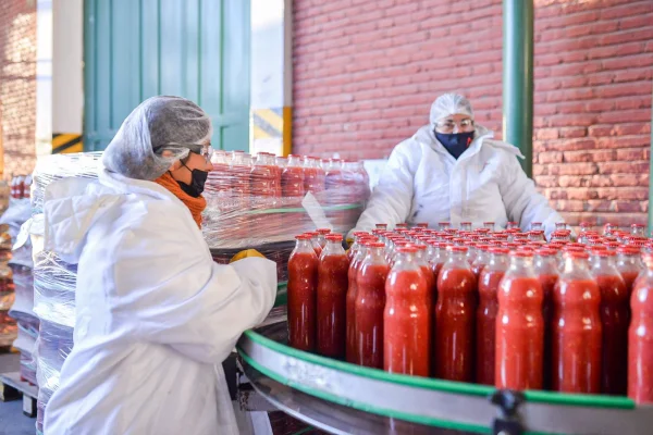 Agroandina procesó más de 34 millones de kilogramos de tomates