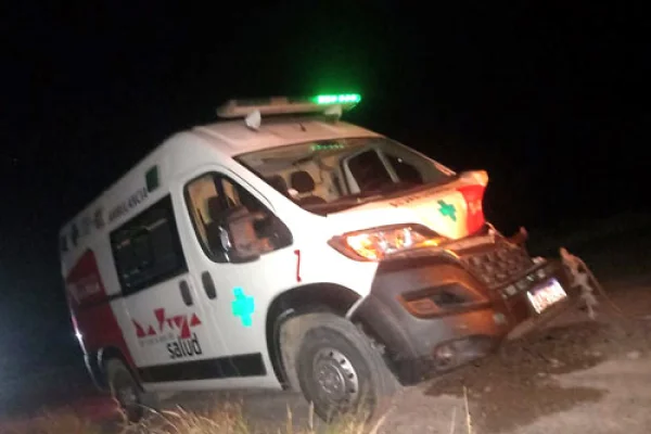 Una ambulancia chocó con un animal suelto pasando Ñoqueve
