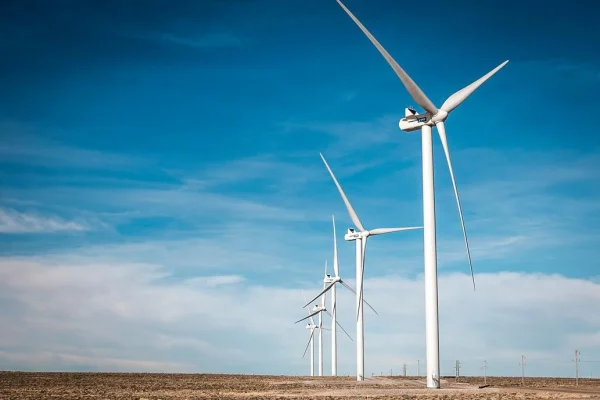 Flavia Royón destacó “el gran potencial” de las energías renovables en el país