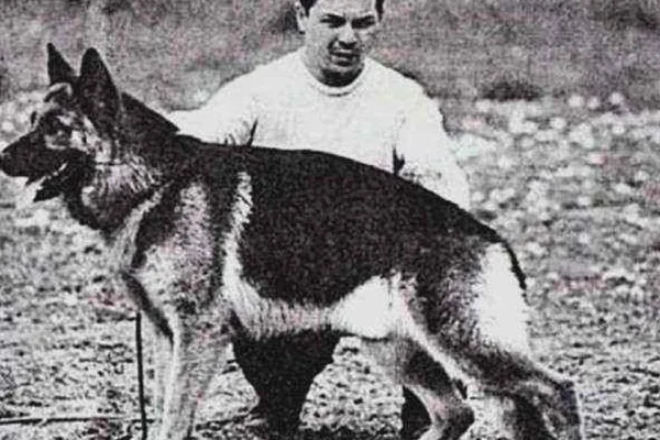 Día Nacional del Perro: a 40 años de la muerte de Chonino, el ovejero alemán que marcó la historia