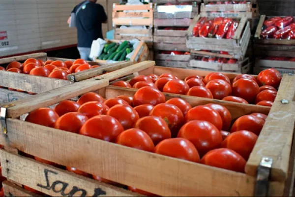 Tomates y cebollas, al tope de las subas de precios en alimentos