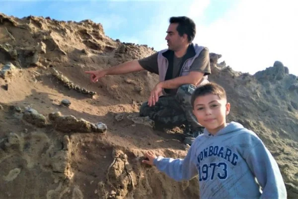 Un niño de 8 años encontró fósiles de un perezoso gigante de la edad de hielo