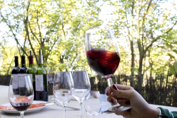 Potenciarán a proyectos de turismo vitivinícola
