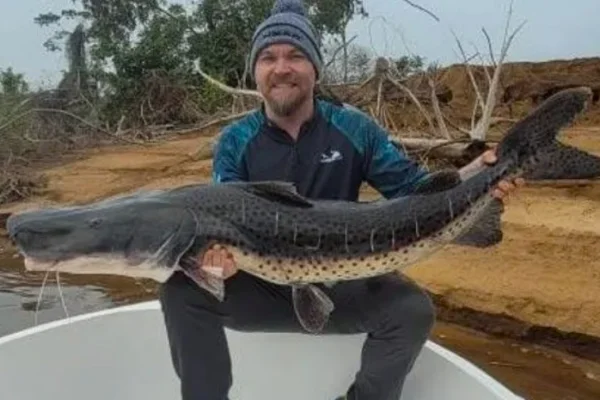 Pescaron un Surubí de 40 kilos en Corrientes