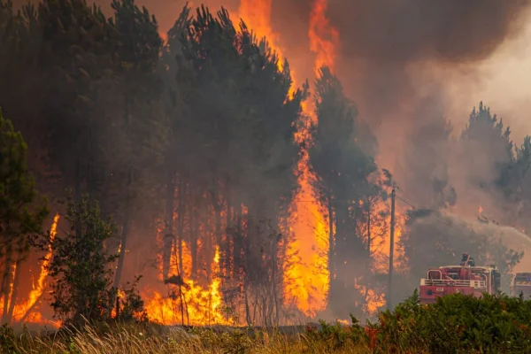 Incendio descontrolado en La Palma: más de 4.600 hectáreas quemadas y miles de desalojados