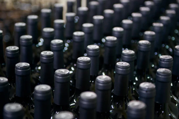 Crece la comercialización de vinos DOC, mayoritariamente destinados a la exportación