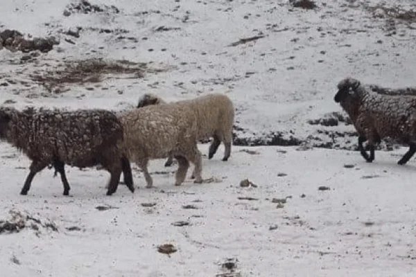 Las fotos de la primera nevada de invierno en las Altas Cumbres