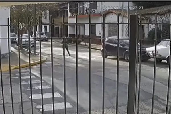 Lo chocaron y en un ataque de ira destrozó al otro auto con un hacha