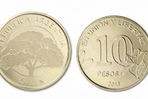 ¿Y si tenés una? Cómo son las monedas de 10 pesos se compran por $17 mil y dónde venderlas