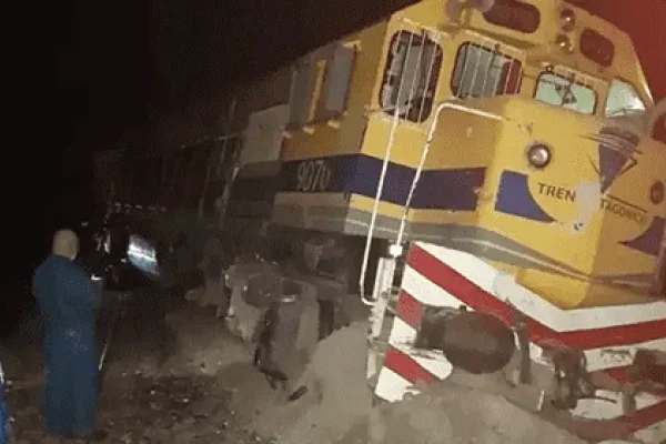 Tren Patagónico descarriló tras chocar contra un toro
