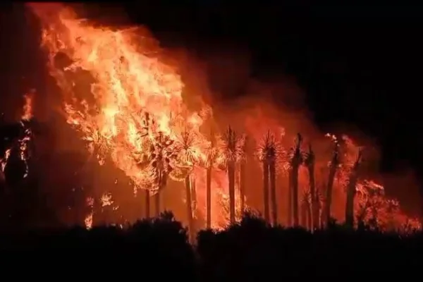Voraz incendio afectó al Parque Los Nacimientos