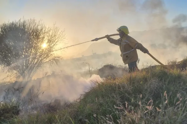Extinguieron dos incendios forestales en Capital
