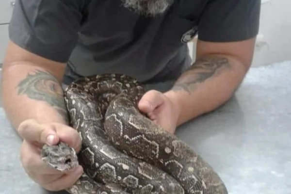 Día del Veterinario: Una mirada desde dentro con el Dr. Juan Manuel Luque, protector de la fauna de La Rioja