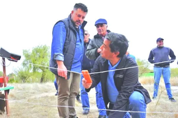 Entregaron boyeros solares a 50 pequeños emprendedores
