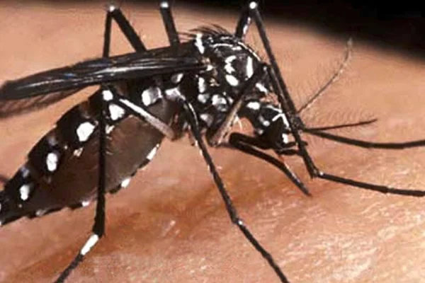 La nueva vacuna contra el dengue de Anmat es 