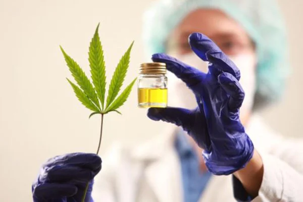 Investigarán el uso del cannabis medicinal para tratar la migraña