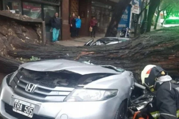 Chacarita: se cayó un árbol en medio del temporal y destruyó un auto