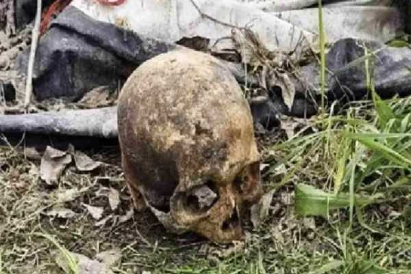 Macabro hallazgo: cortaba el césped en la vereda de su casa y se encontó con un cráneo humano