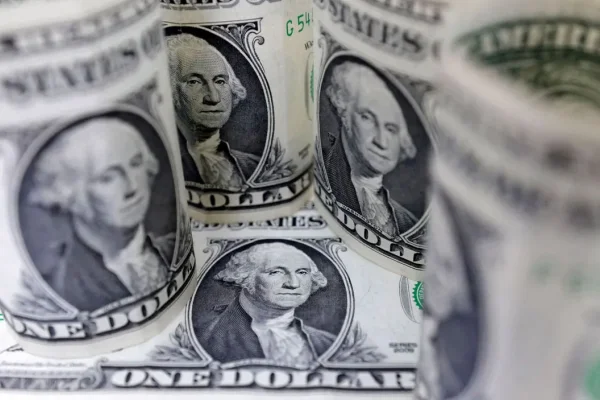 El dólar blue cerró a $735 y el Central compró US$21 millones