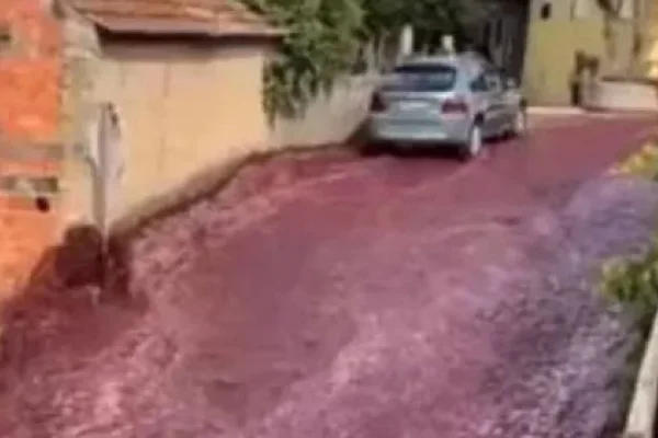 Portugal: explotaron dos tanques y las calles se inundaron de vino
