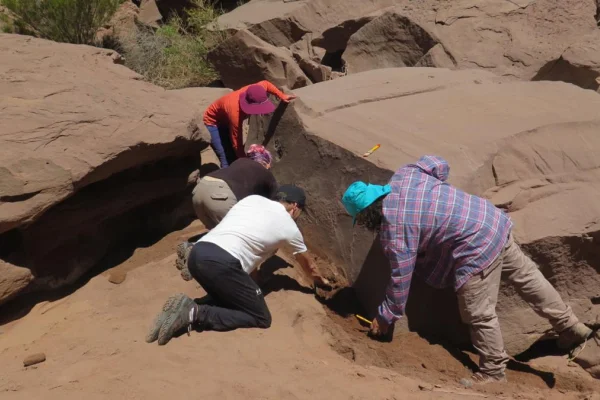 Hallan fósiles de aves de hace 15 millones de años en La Rioja