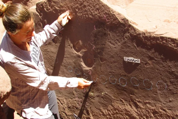 Huellas fósiles de La Rioja revelan nueva fauna que habitó hace 15 millones de años