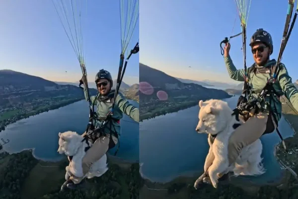 Polémica en TikTok: saltó en paracaídas con su perro, publicó el video en redes, recibió duras críticas