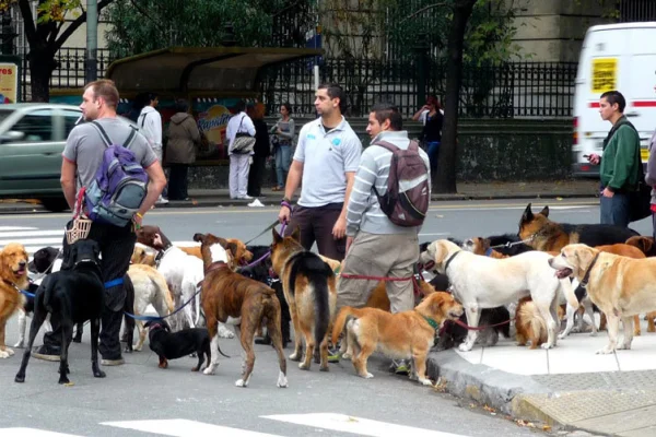Argentina es el país con más mascotas en el mundo