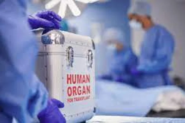 Buscan modificar la Ley de Trasplante de órganos