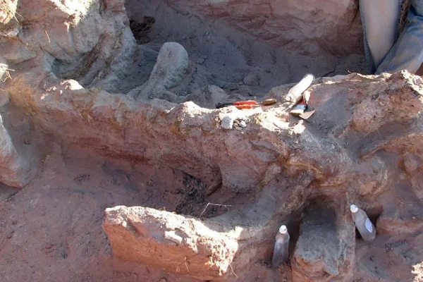 El Conicet descubrió una nueva especie de dinosaurio en Neuquén