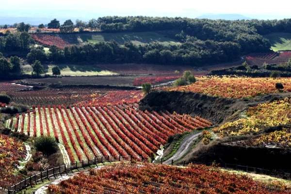 La Rioja es sede de las III Jornadas Nacionales de Turismo del Vino