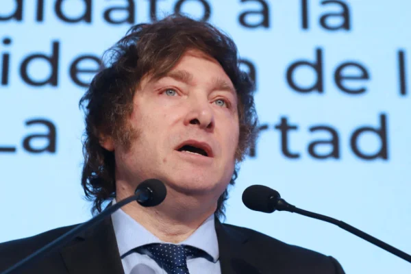 Quién es Javier Milei, el nuevo presidente de la República Argentina